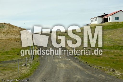 Küstenseeschwalbe (1 von 6).jpg